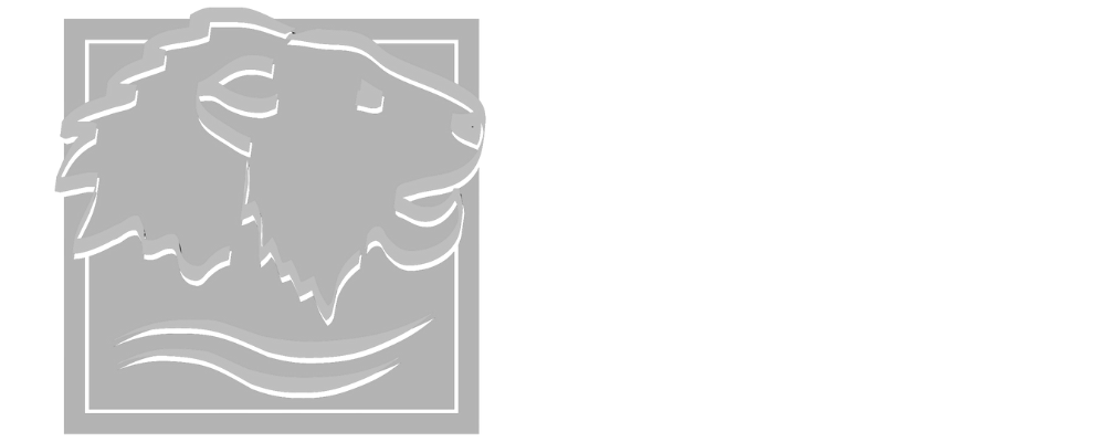 Logo Löwen Apotheke Footer